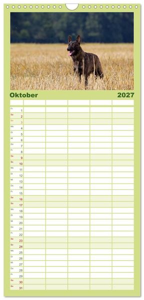 Produktbild: Familienplaner 2027 - ausdrucksvolle Holl&auml;ndische Sch&auml;ferhunde mit 5 Spalten (Wandkalender, 21 x 45 cm) CALVENDO