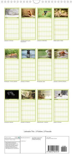 Produktbild: Familienplaner Labrador Trio - 3 Farben, 3 Freunde (Wandkalender 2022 , 21 cm x 45 cm, hoch)