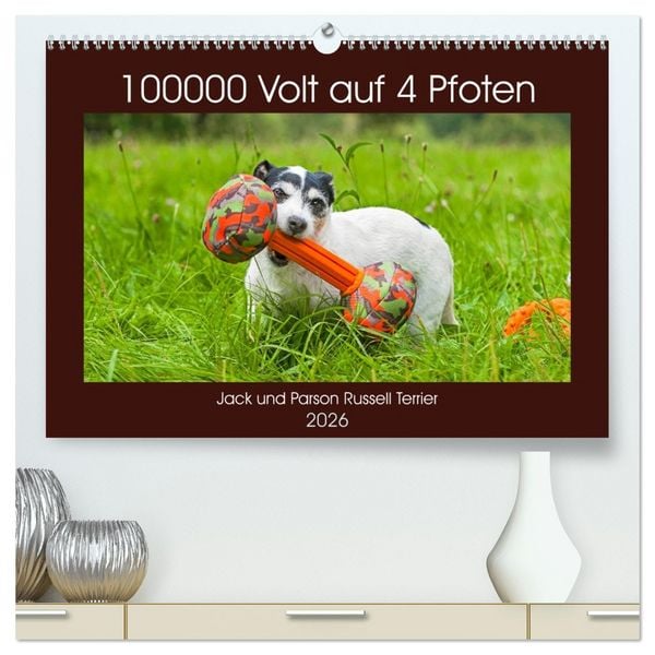 100000 Volt auf vier Pfoten - Jack und Parson Russell Terrier (hochwertiger Premium Wandkalender 2026 DIN A2 quer), Kunstdruck in Hochglanz