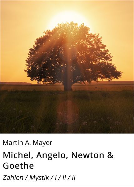 Produktbild: Michel, Angelo, Newton & Goethe