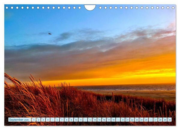 Produktbild: Beach Light Inspiration (Wandkalender 2026 DIN A4 quer), CALVENDO Monatskalender