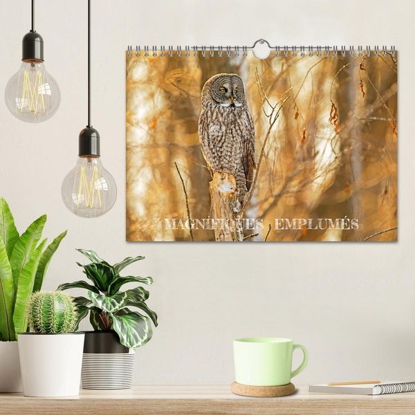 Produktbild: Magnifiques Emplum&eacute;s (Calendrier mural 2026 DIN A4 vertical), CALVENDO calendrier mensuel