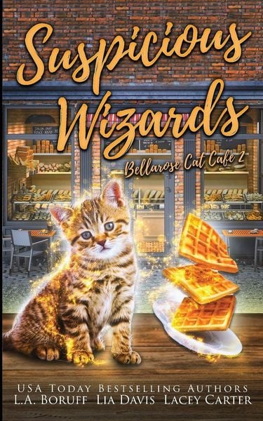 Produktbild: Suspicious Wizards
