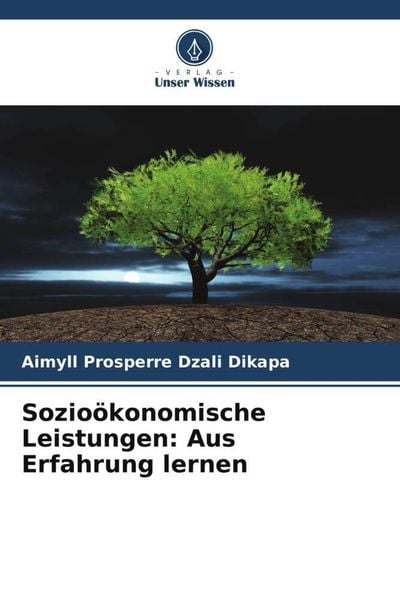 Sozioökonomische Leistungen: Aus Erfahrung lernen, Taschenbuch von Aimyll Prosperre Dzali Dikapa, Verlag Unser Wissen, 978-620-5-87303-8
