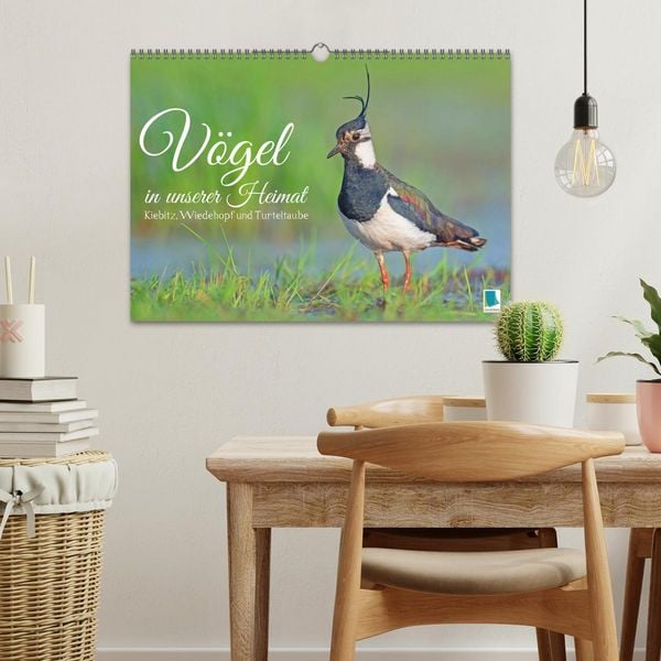 Produktbild: V&ouml;gel in unserer Heimat: Kiebitz, Wiedehopf und Turteltaube (Wandkalender 2026 DIN A3 quer), CALVENDO Monatskalender