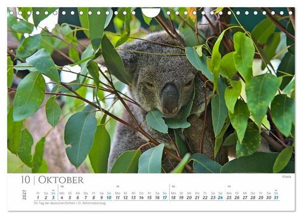 Produktbild: Australien - Highlights Ostk&uuml;ste (Wandkalender 2027 DIN A4 quer), CALVENDO Monatskalender