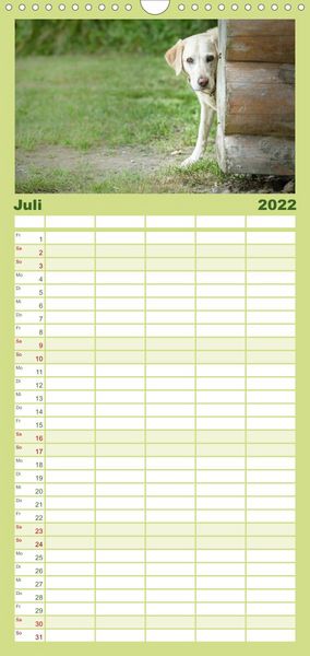Produktbild: Familienplaner Labrador Trio - 3 Farben, 3 Freunde (Wandkalender 2022 , 21 cm x 45 cm, hoch)