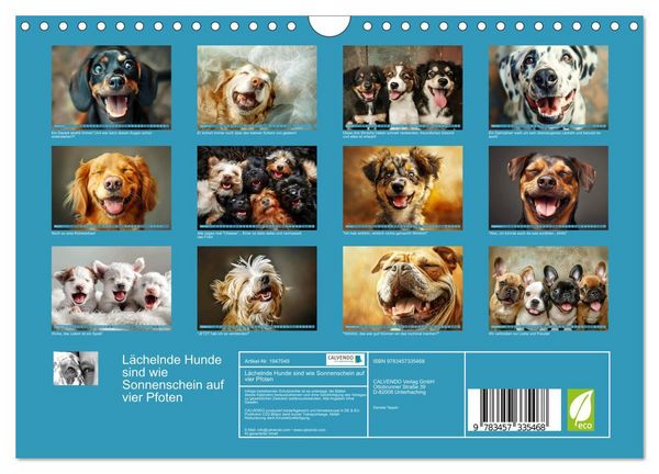 Produktbild: L&auml;chelnde Hunde sind wie Sonnenschein auf vier Pfoten (Wandkalender 2026 DIN A4 quer), CALVENDO Monatskalender