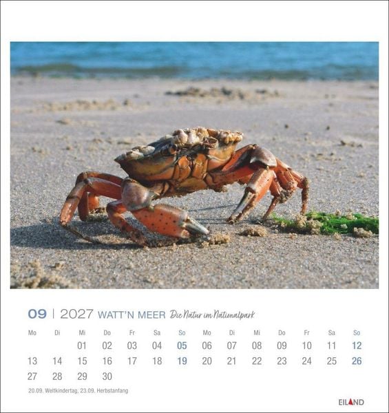 Produktbild: Watt'n Meer Postkartenkalender 2027 - Die Natur im Nationalpark