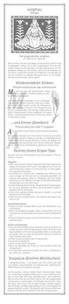 Produktbild: Paulines Küchenplaner 2026 - Streifenplaner - Wandplaner - Küchen-Kalender - 11,3x49,5