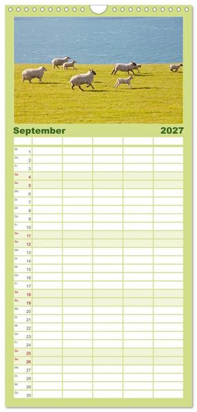 Produktbild: Familienplaner 2027 - Schafe - Weich und wollig mit 5 Spalten (Wandkalender, 21 x 45 cm) CALVENDO