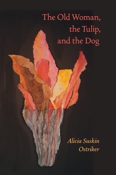 Produktbild: The Old Woman, the Tulip, and the Dog