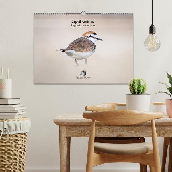 Produktbild: Esprit animal - Regards minimalistes (Calendrier mural 2026 DIN A3 vertical), CALVENDO calendrier mensuel