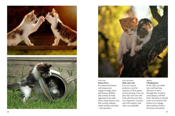 Produktbild: Kittens
