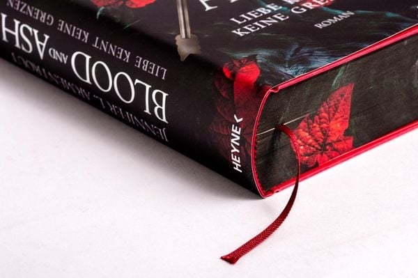 Produktbild: Blood and Ash &ndash; Liebe kennt keine Grenzen