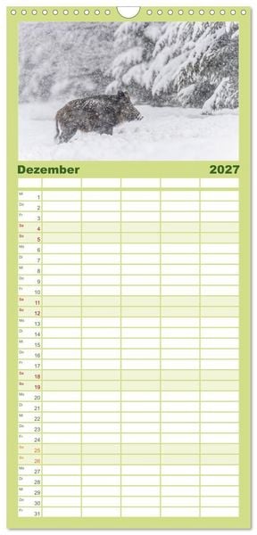 Produktbild: Familienplaner 2027 - Wildschweine &ndash; Wildlife Fotografien mit 5 Spalten (Wandkalender, 21 x 45 cm) CALVENDO