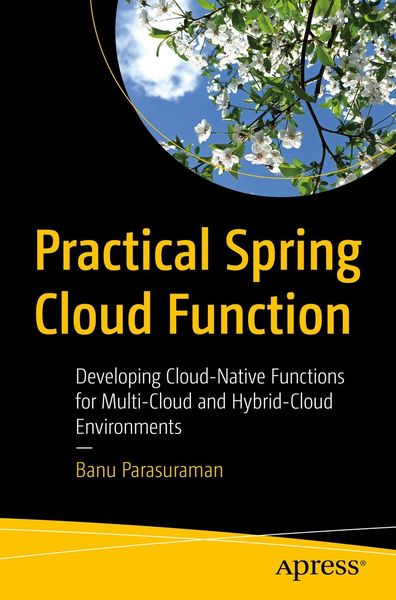 Produktbild: Practical Spring Cloud Function