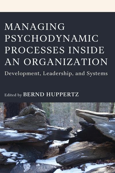 Produktbild: Managing Psychodynamic Processes Inside an Organization