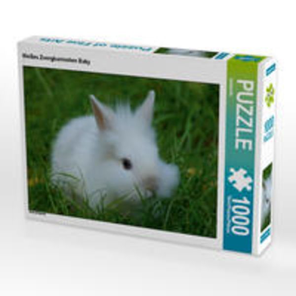 CALVENDO Puzzle Weißes Zwergkaninchen Baby 1000 Teile Lege-Größe 64 x 48 cm Foto-Puzzle Bild von kattobello