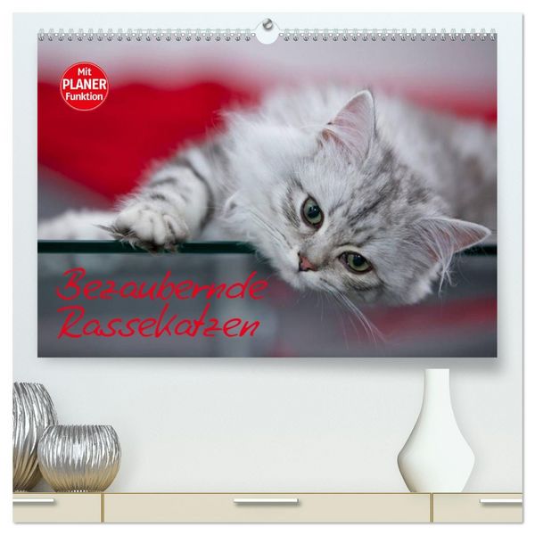 Produktbild: Bezaubernde Rassekatzen (hochwertiger Premium Wandkalender 2026 DIN A2 quer), Kunstdruck in Hochglanz
