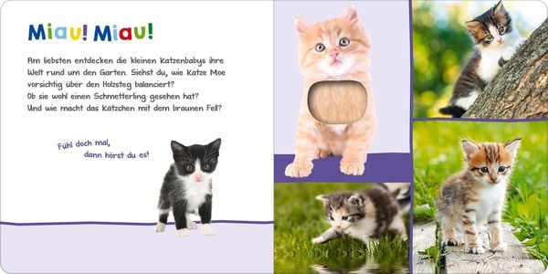 Hör mal rein, wer kann das sein? – Tierkinder im Frühling