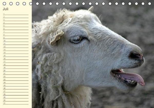 Produktbild: Der wollige Geburtstagskalender (Tischkalender immerw&auml;hrend DIN A5 quer)
