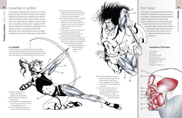 Produktbild: Anatomy for Fantasy Artists