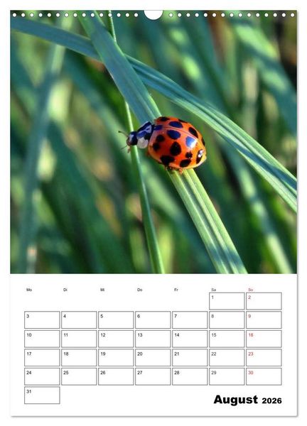Produktbild: Heimische Wildtiere Terminplaner (Wandkalender 2026 DIN A3 hoch), CALVENDO Monatskalender
