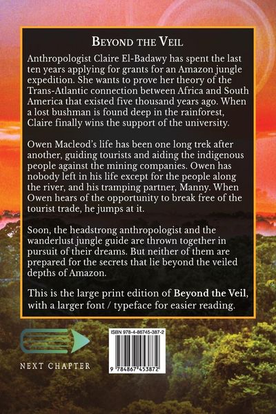 Produktbild: Beyond the Veil