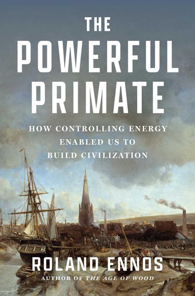 Produktbild: The Powerful Primate