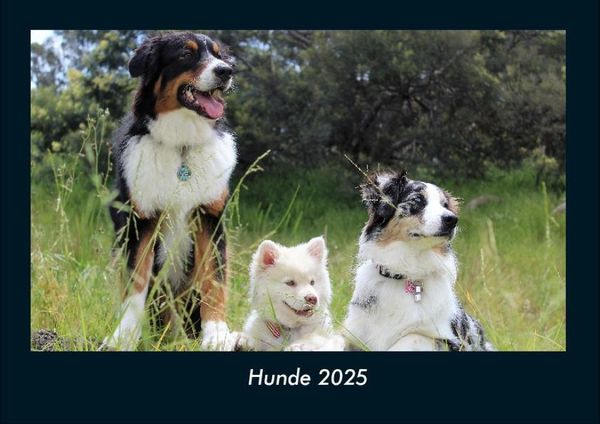 Produktbild: Hunde 2025 Fotokalender DIN A4