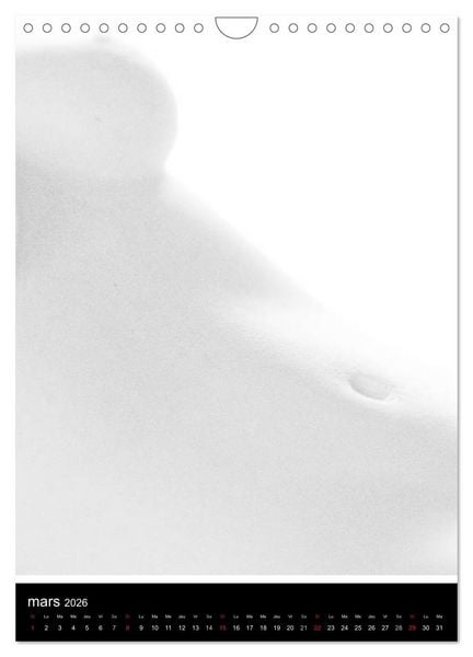 Produktbild: F&eacute;minit&eacute; (Calendrier mural 2026 DIN A4 horizontal), CALVENDO calendrier mensuel