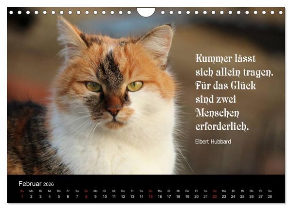 Produktbild: Gl&uuml;ckskatze - Mit Zitaten zum Thema Gl&uuml;ck (Wandkalender 2026 DIN A4 quer), CALVENDO Monatskalender