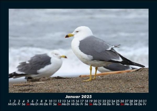 Produktbild: Str&auml;nde der Welt 2025 Fotokalender DIN A5