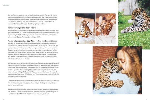 Produktbild: Was will mir meine Katze sagen?