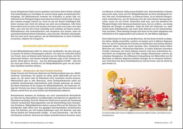 Produktbild: Schlank mit Darm - Die Darm-Di&auml;t - Aktualisierte Neuausgabe