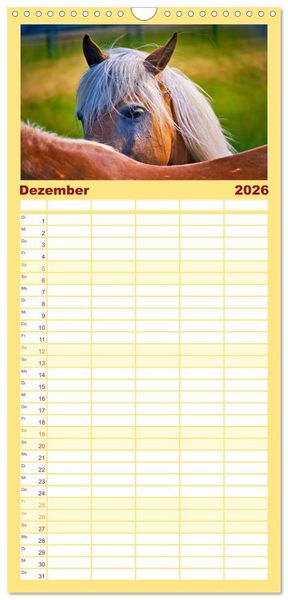 Produktbild: Familienplaner 2026 - Die besonderen Haflinger-Pferde mit 5 Spalten (Wandkalender, 21 x 45 cm) CALVENDO
