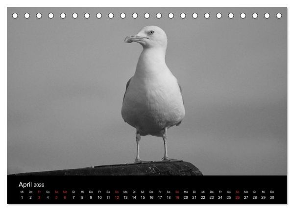 Produktbild: Willkommen in Cuxhaven (Tischkalender 2026 DIN A5 quer), CALVENDO Monatskalender