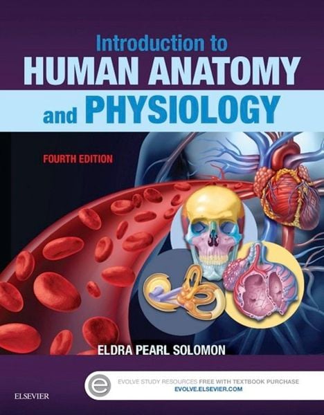 Produktbild: Introduction to Human Anatomy and Physiology