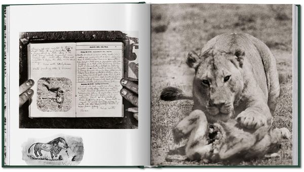 Produktbild: Peter Beard