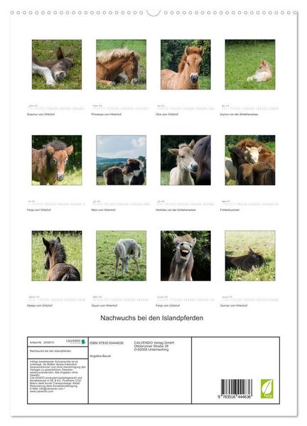 Produktbild: Nachwuchs bei den Islandpferden (hochwertiger Premium Wandkalender 2026 DIN A2 hoch), Kunstdruck in Hochglanz