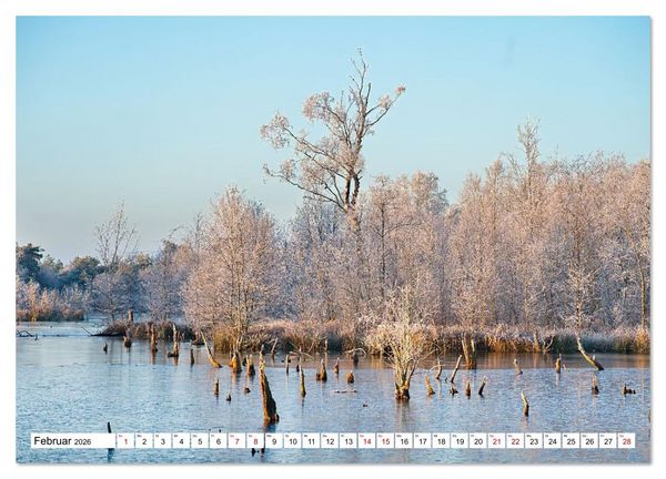 Produktbild: Impressionen aus dem Moor (hochwertiger Premium Wandkalender 2026 DIN A2 quer), Kunstdruck in Hochglanz