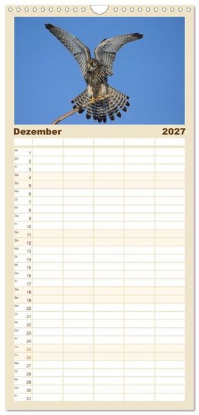 Produktbild: Familienplaner 2027 - Heimische Eulen und Greife mit 5 Spalten (Wandkalender, 21 x 45 cm) CALVENDO