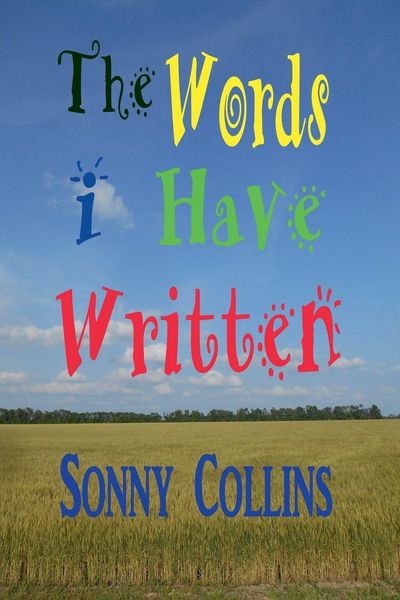 Produktbild: The Words I Have Written
