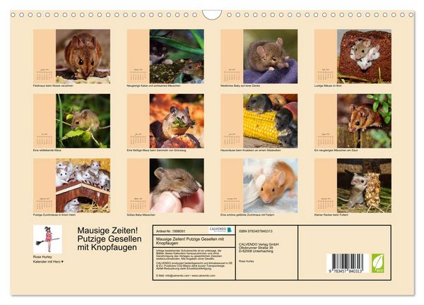 Produktbild: Mausige Zeiten! Putzige Gesellen mit Knopfaugen (Wandkalender 2026 DIN A3 quer), CALVENDO Monatskalender