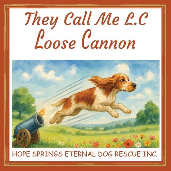 Produktbild: They Call Me L.C. Loose Cannon
