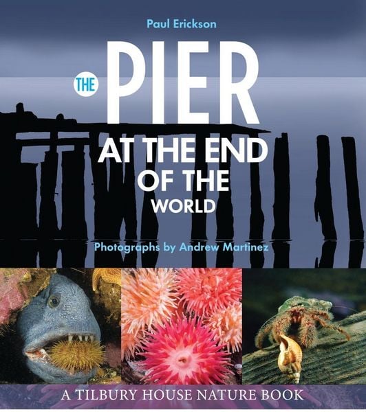 Produktbild: Pier at the End of the World