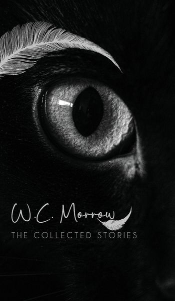 Produktbild: The Collected Stories