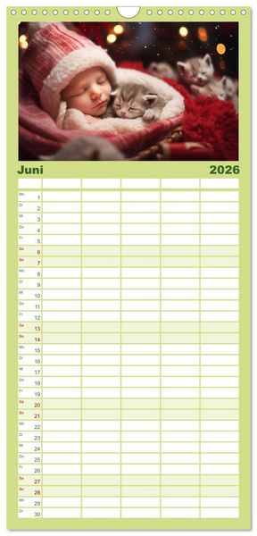 Produktbild: Familienplaner 2026 - Kleine Schlummerparade: Babys und ihre kuscheligen Tierfreunde mit 5 Spalten (Wandkalender, 21 x 45 cm) CALVENDO