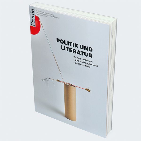 Produktbild: Politik und Literatur